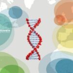 DNA Test Migration Groups Insights
