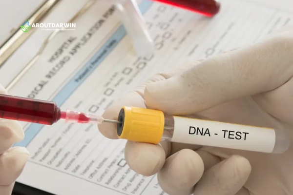 When to Consider Retaking DNA Test