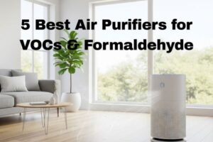 5 Best Air Purifiers for VOCs & Formaldehyde