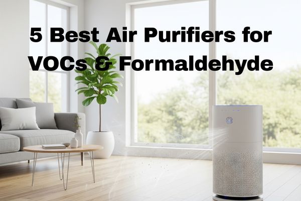 5 Best Air Purifiers for VOCs & Formaldehyde