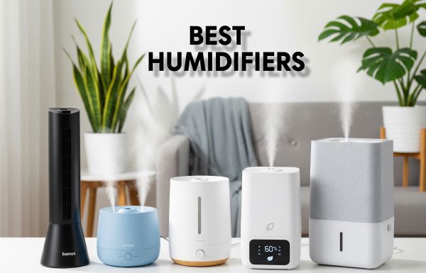 BEST HUMIDIFIERS