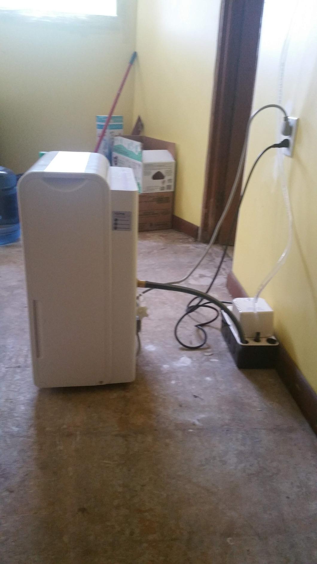 hOmeLabs Dehumidifier 4,500 Sq Ft 32 Pint (MAX 80 Pint at 95°F, 90% RH) customer photo 2