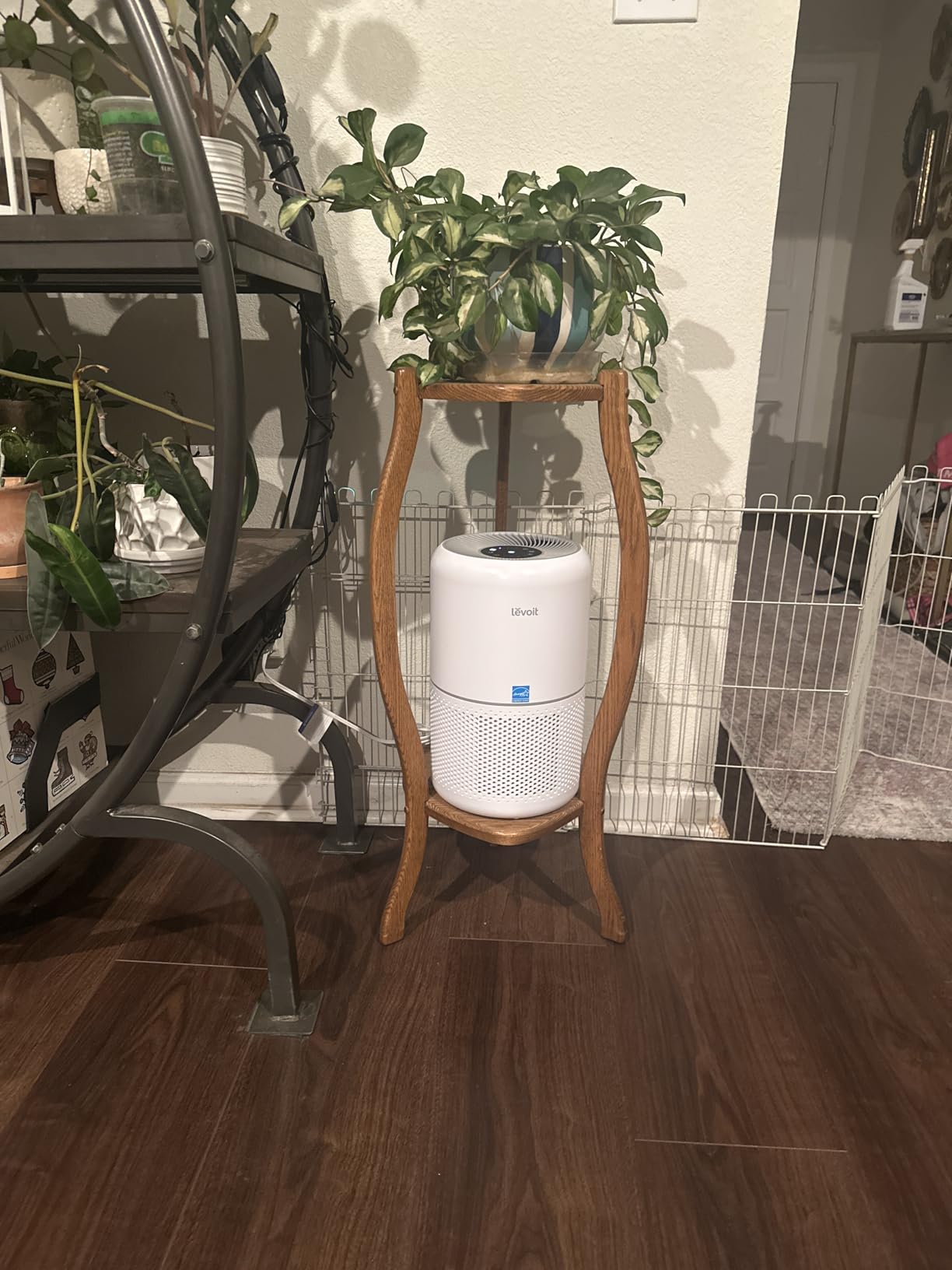 Levoit Air Purifier for Home Pets Hair Allergens in Bedroom Quiet Purifiers customer photo 2