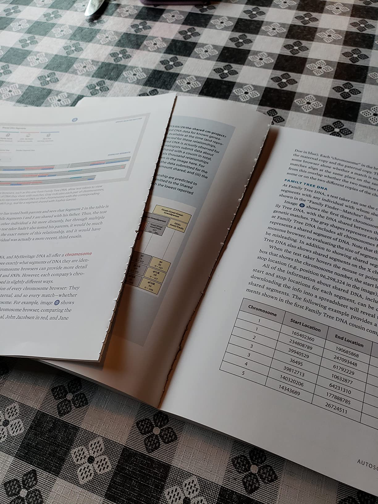 The Family Tree Guide to DNA Testing and Genetic Genealogy customer photo 1
