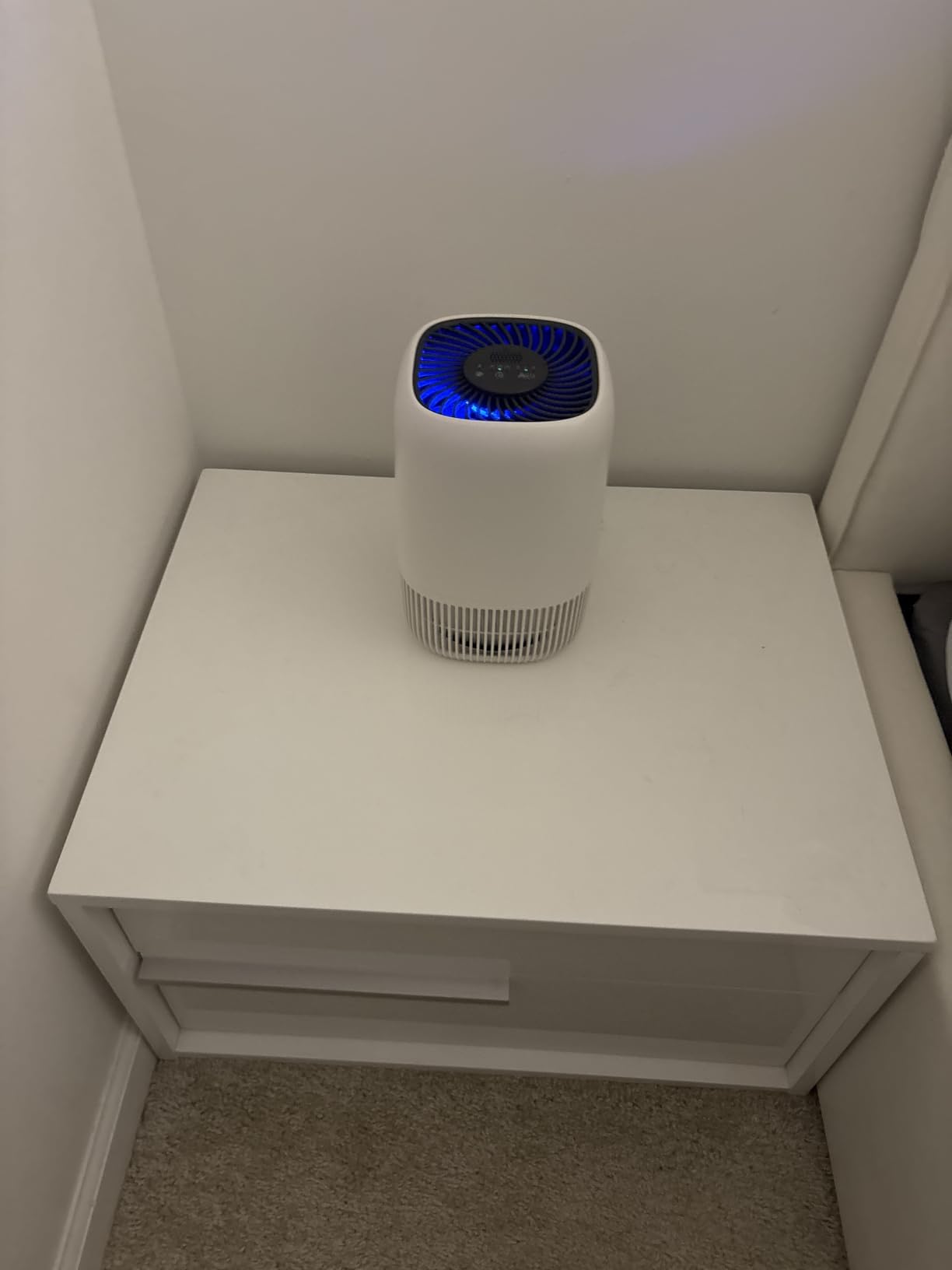Air Purifiers for Home with High Efficiency Filter Up to 1076 Ft² for Pet Hair, Odors, Pollen, Smoke, Compact Air Cleaner with 3 Speeds, Timer, Aroma Quiet 360°Intake Filter, White customer photo 1