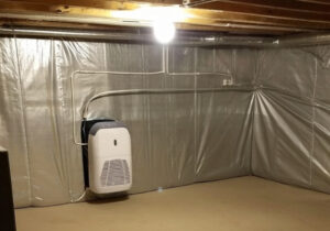 Best Crawl Space Dehumidifiers