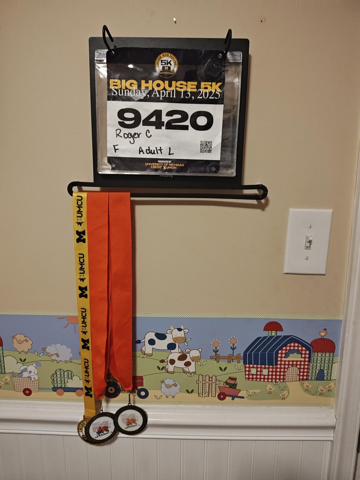 Gone For a Run BibFOLIO+ Race Bib & Medal Display Holds 24 Medals 100 Bibs | Medal Wall Mount, Clear Vinyl Bib Protectors, Easy to Install, Race Memorabilia, Marathon Runner Gift, Includes Hardware customer photo 1