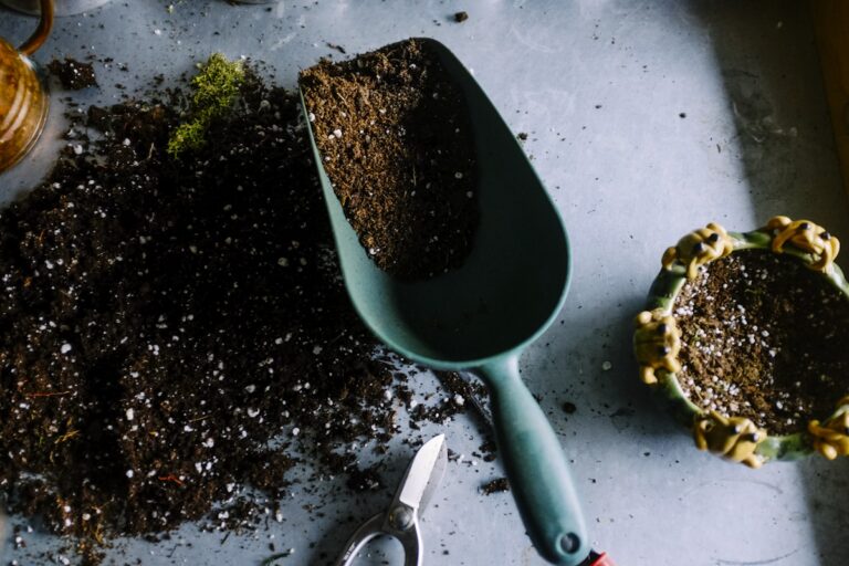 Best Gardening Gifts For Grandma