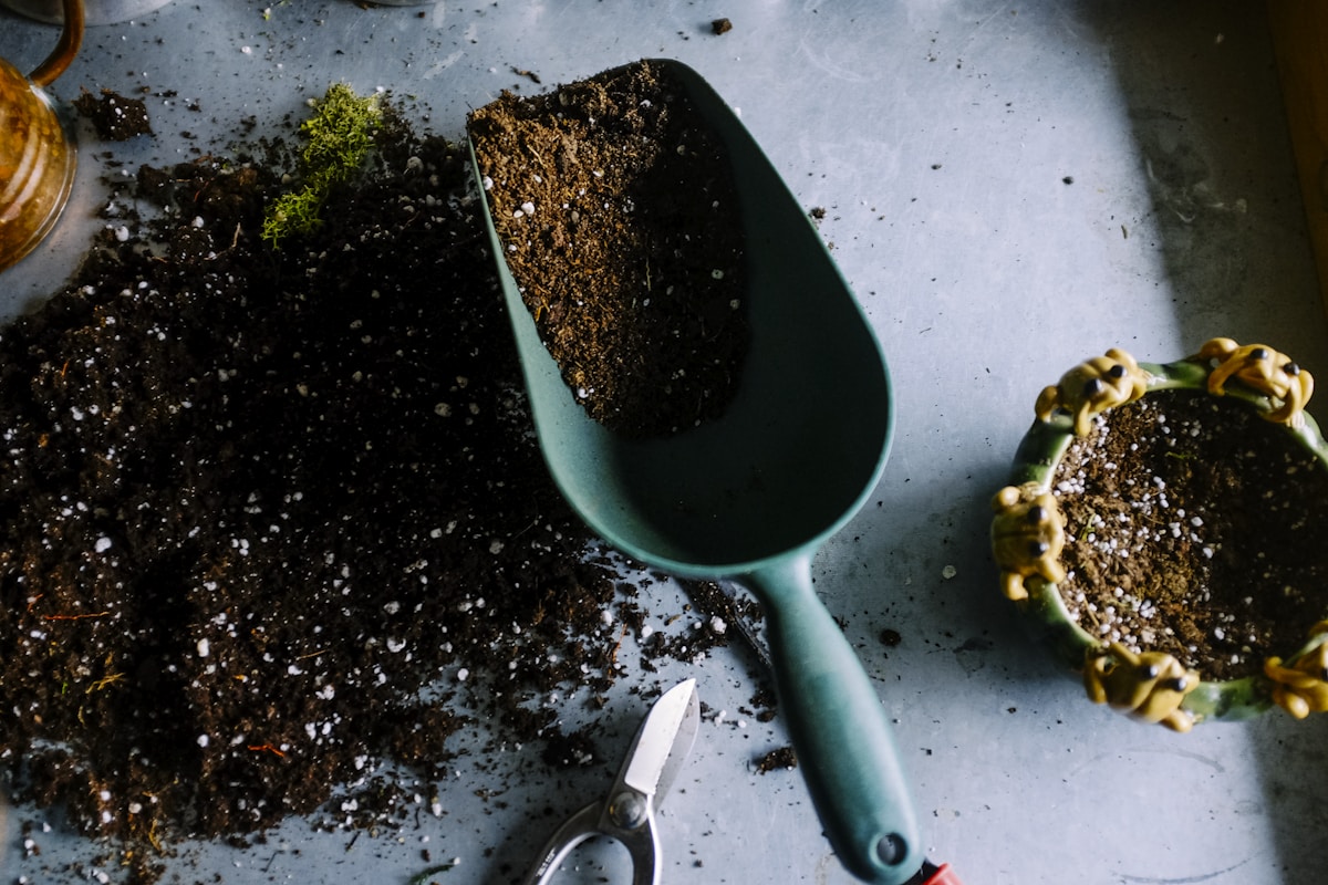 Best Gardening Gifts For Grandma