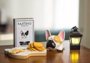 12 Best French Bulldog Gifts