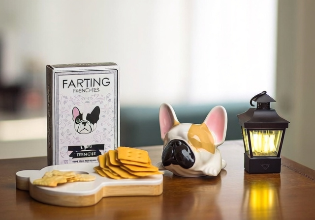 12 Best French Bulldog Gifts