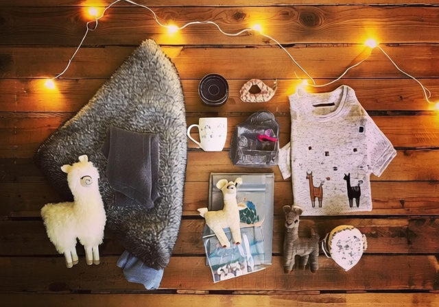 Best Llama Gifts