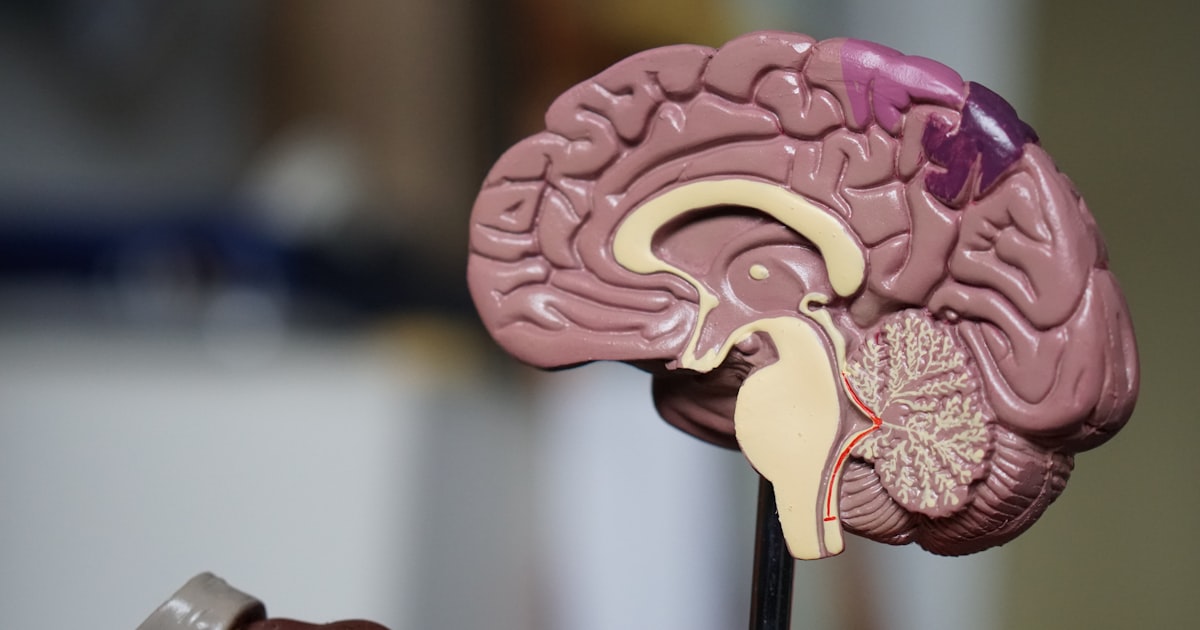 Best Gifts for Medical Students