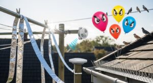 Best Bird Deterrent Devices