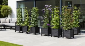 Best Planter Boxes with Trellises