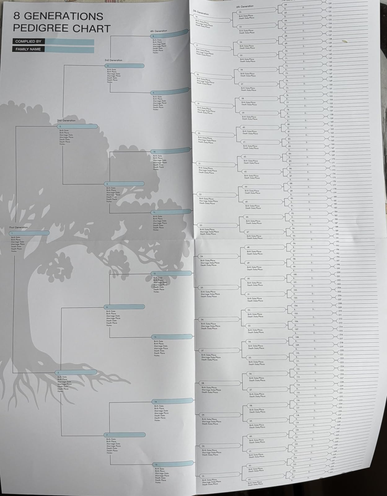 16 Family Tree Charts to Fill In, with 50 Family Group Sheets 8th Generation Genealogy Worksheets - Genealogy Supplies for Ancestry and Family History Organizer customer photo 1