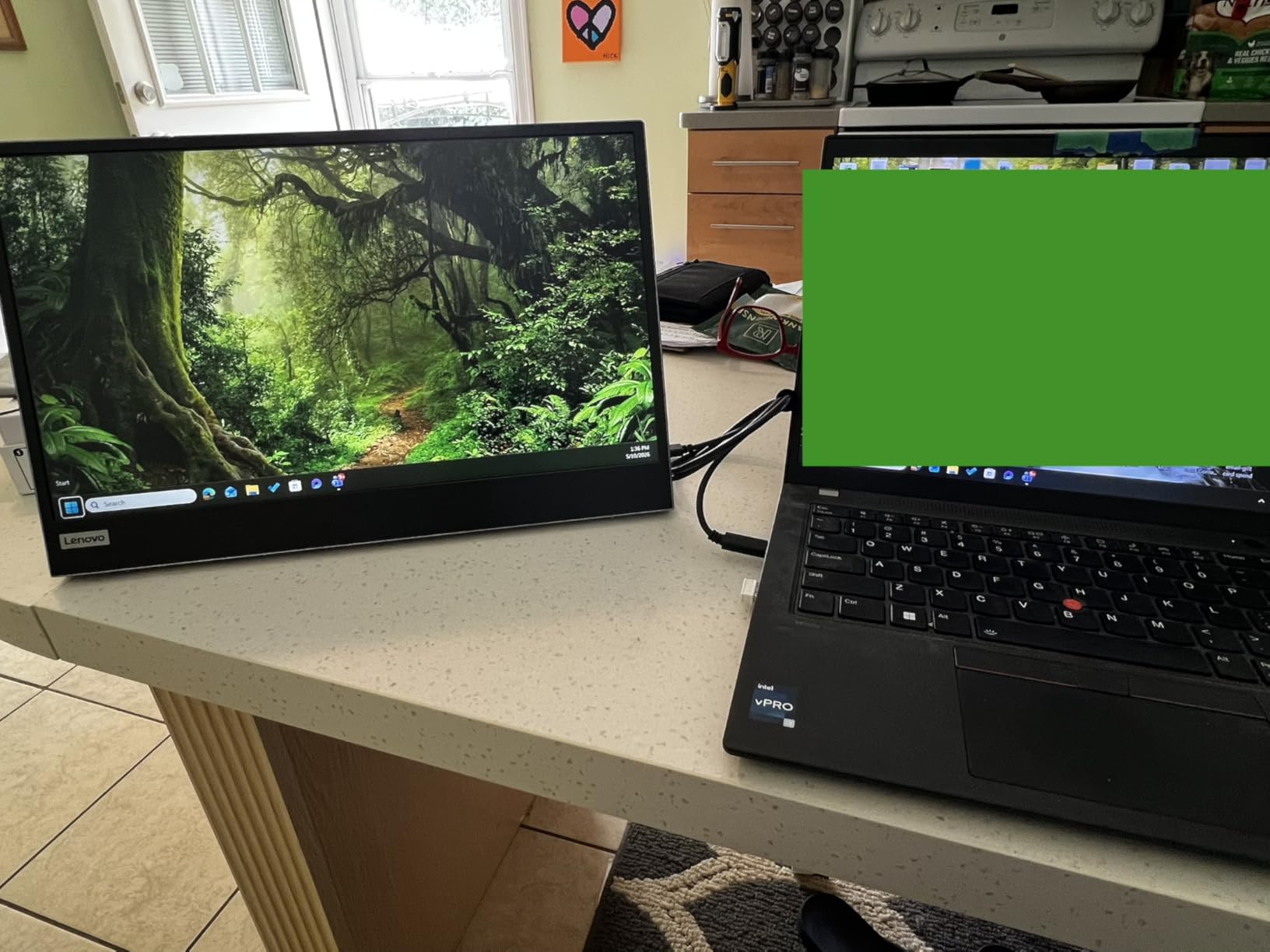 Lenovo L15 Portable Monitor 15.6