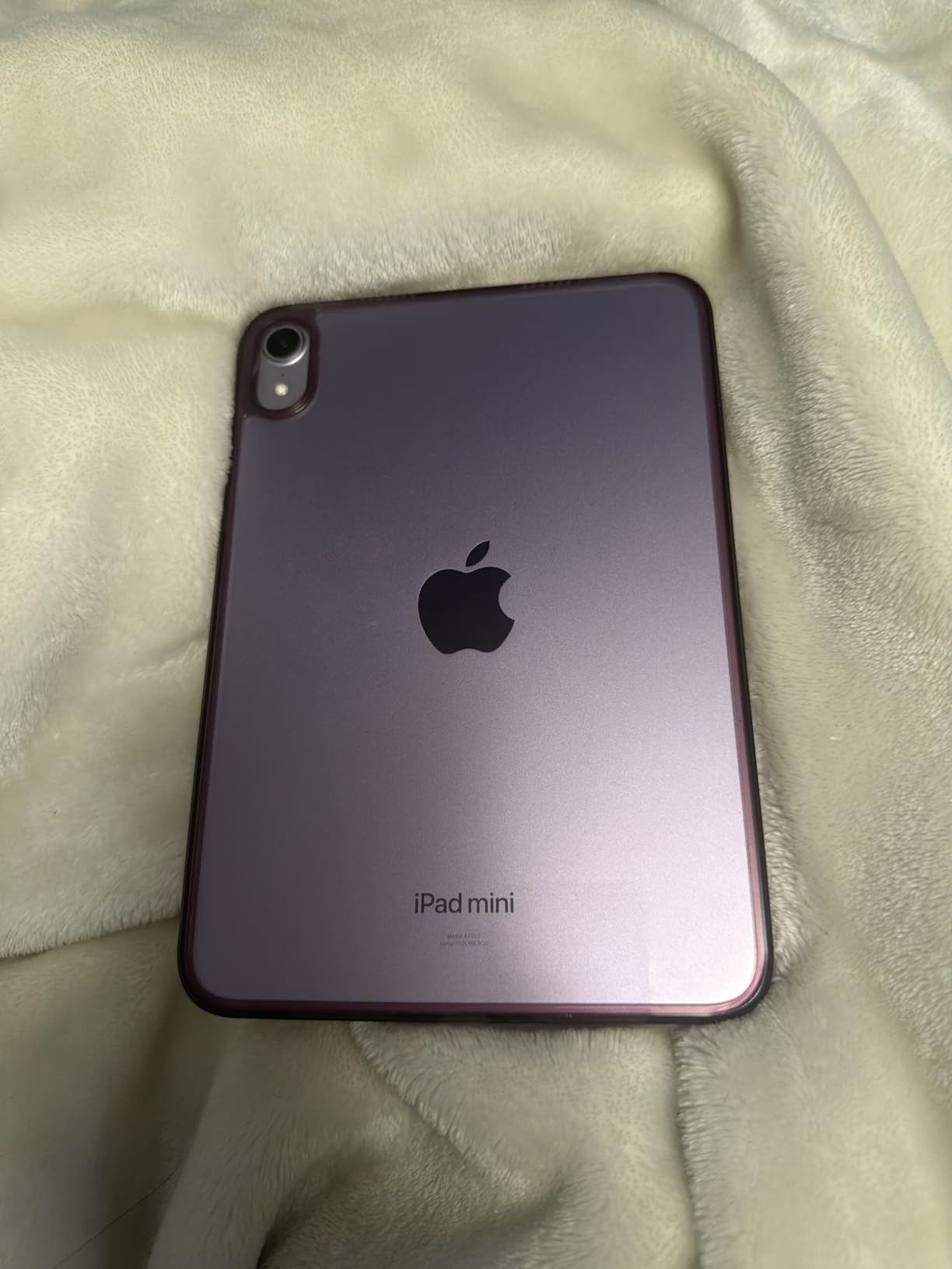 Apple iPad mini (A17 Pro): Apple Intelligence, 8.3-inch Liquid Retina Display, 256GB, Wi-Fi 6E, 12MP Front/12MP Back Camera, Touch ID, All-Day Battery Life - Space Gray customer photo 1