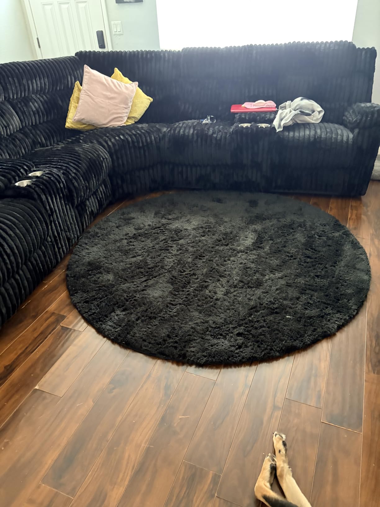 Ophanie 8x10 Area Rugs for Living Room, Washable Non-Slip Fluffy Soft Large Shag Bedroom Carpet, Ivory Big Indoor Nursery Rug, Carpets for Boy and Girls Room Dorm Home Decor Aesthetic customer photo 2