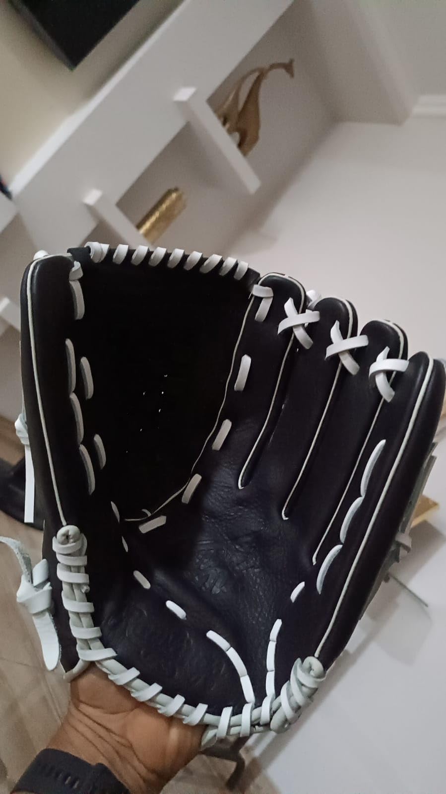 Rawlings Shut Out Series Youth Fastpitch Softball Glove - Sizes 11.5