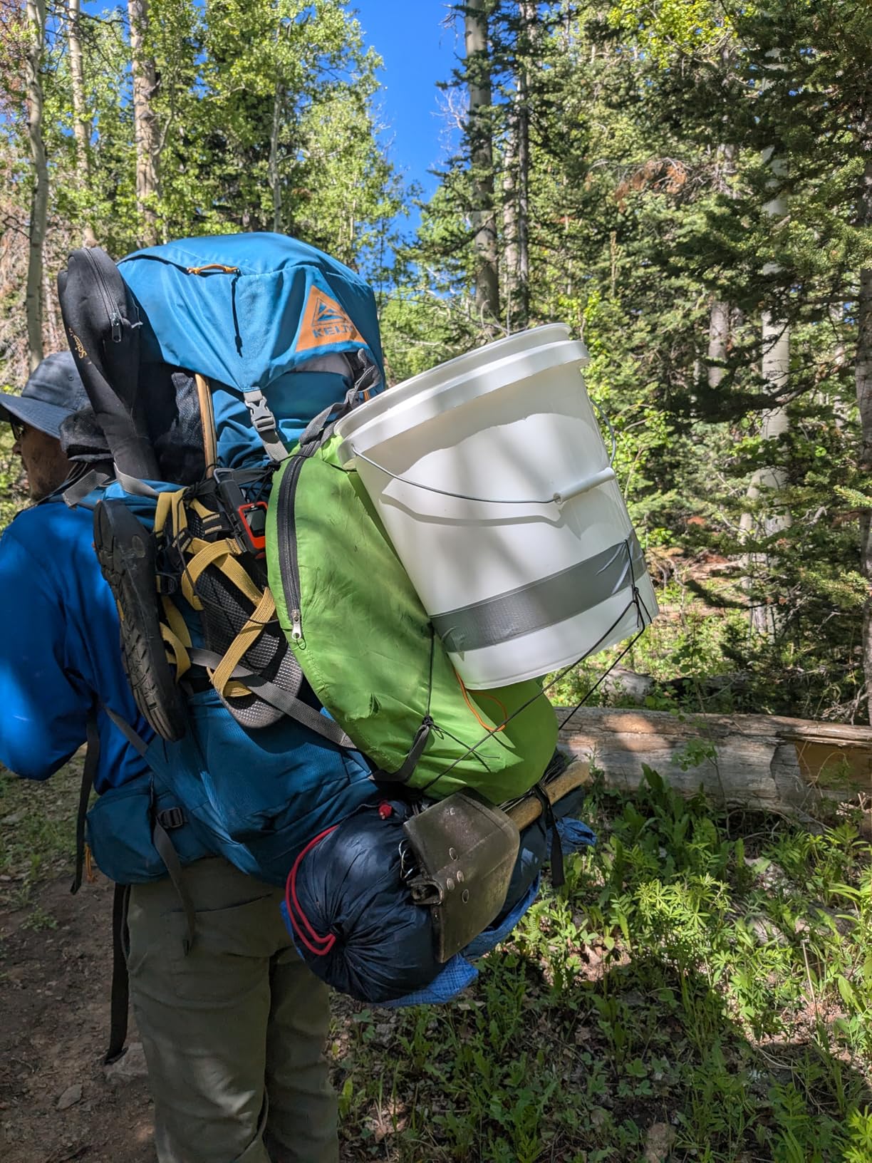 Kelty Coyote 65L Internal Frame Backpack - Hiking, Backpacking, Travel, Hydration Compatible, Dark Olive customer photo 2