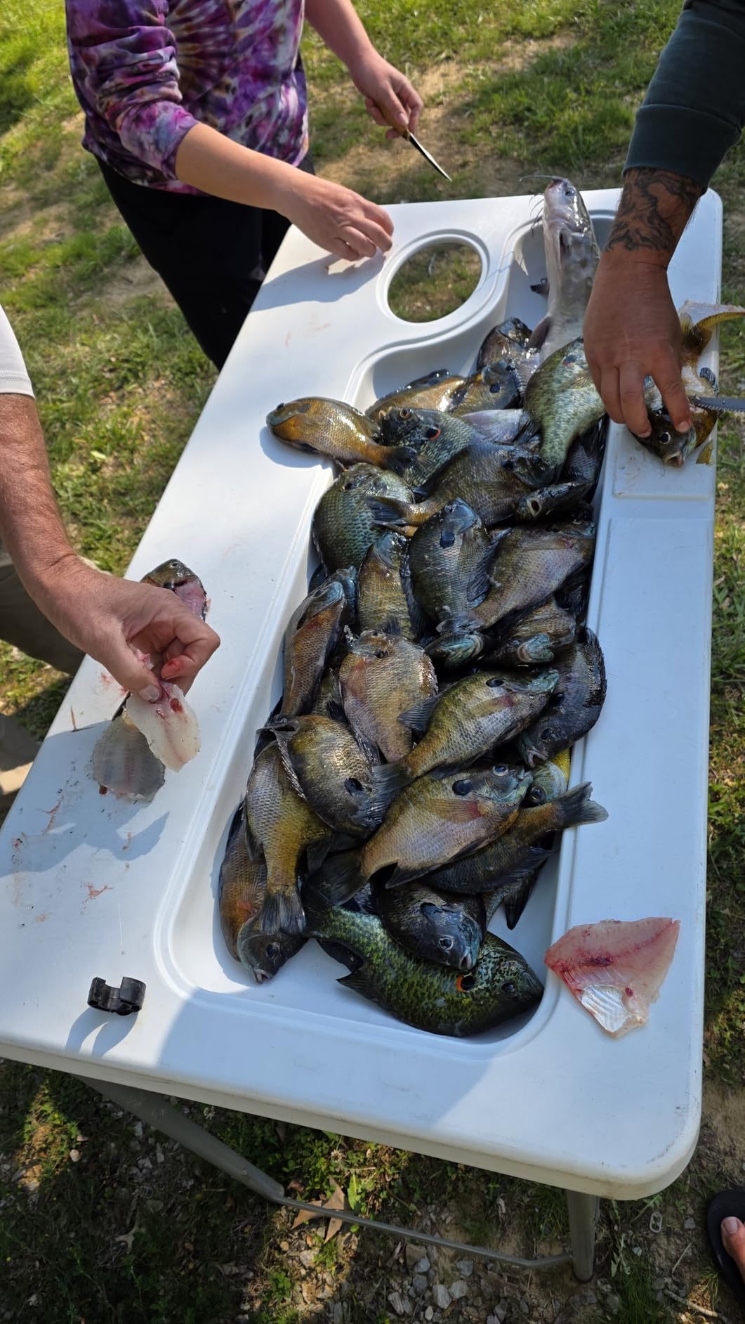LITTMA Wild Streams Ultralight Spinning & Casting Trout Rod - 2-Piece Fishing Rod customer photo 2