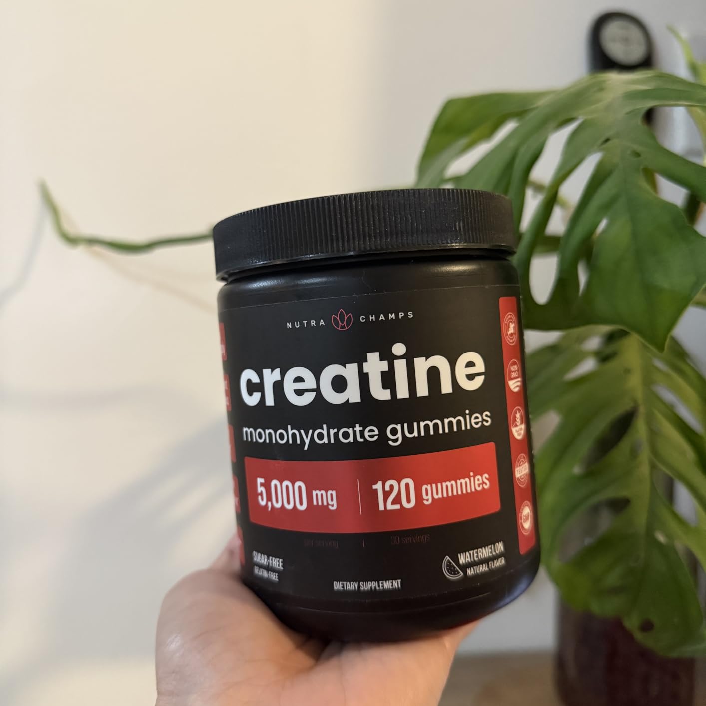 NutraChamps 150 Creatine Gummies for Men & Women - 5g Sugar Free Chewable Creatine Monohydrate Gummies - Supports Protein Synthesis, Muscle Recovery & Workout Performance customer photo 1