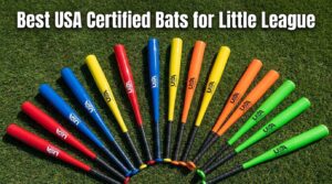 Best USA Certified Bats for Little League