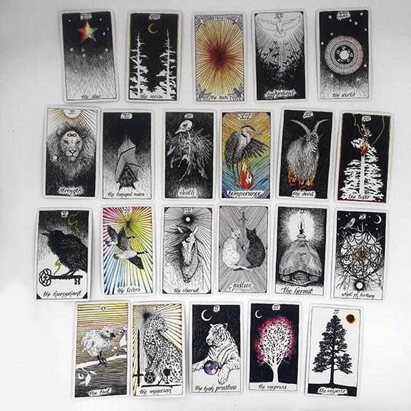 The Wild Unknown Tarot Deck and Guidebook (Official Keepsake Box Set) customer photo 2