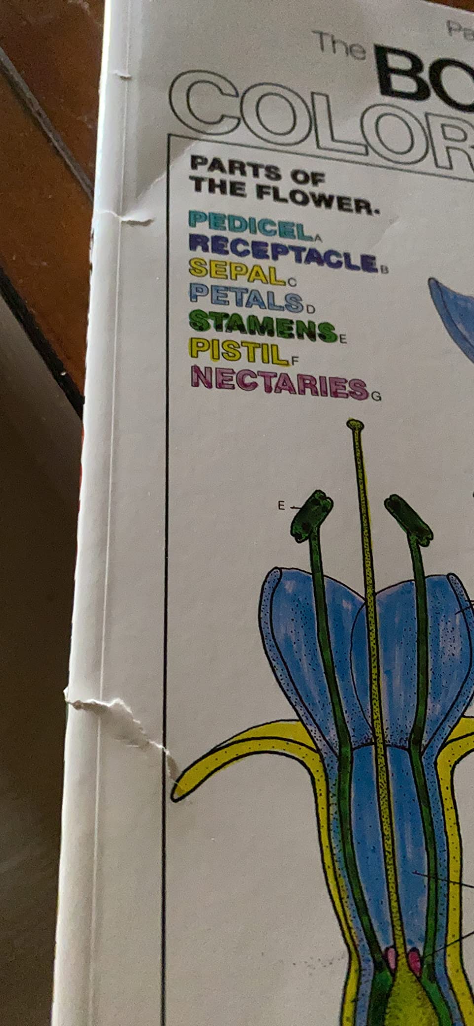 The Botany Coloring Book customer photo 1