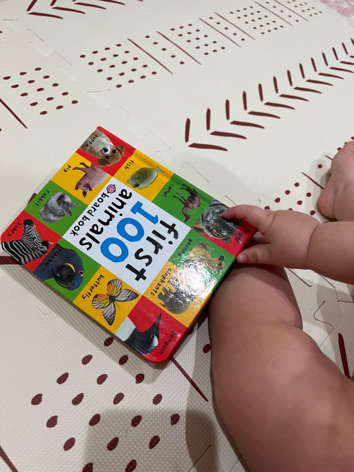 First 100 Board Book Box Set (3 books): First 100 Words, Numbers Colors Shapes, and First 100 Animals customer photo 1