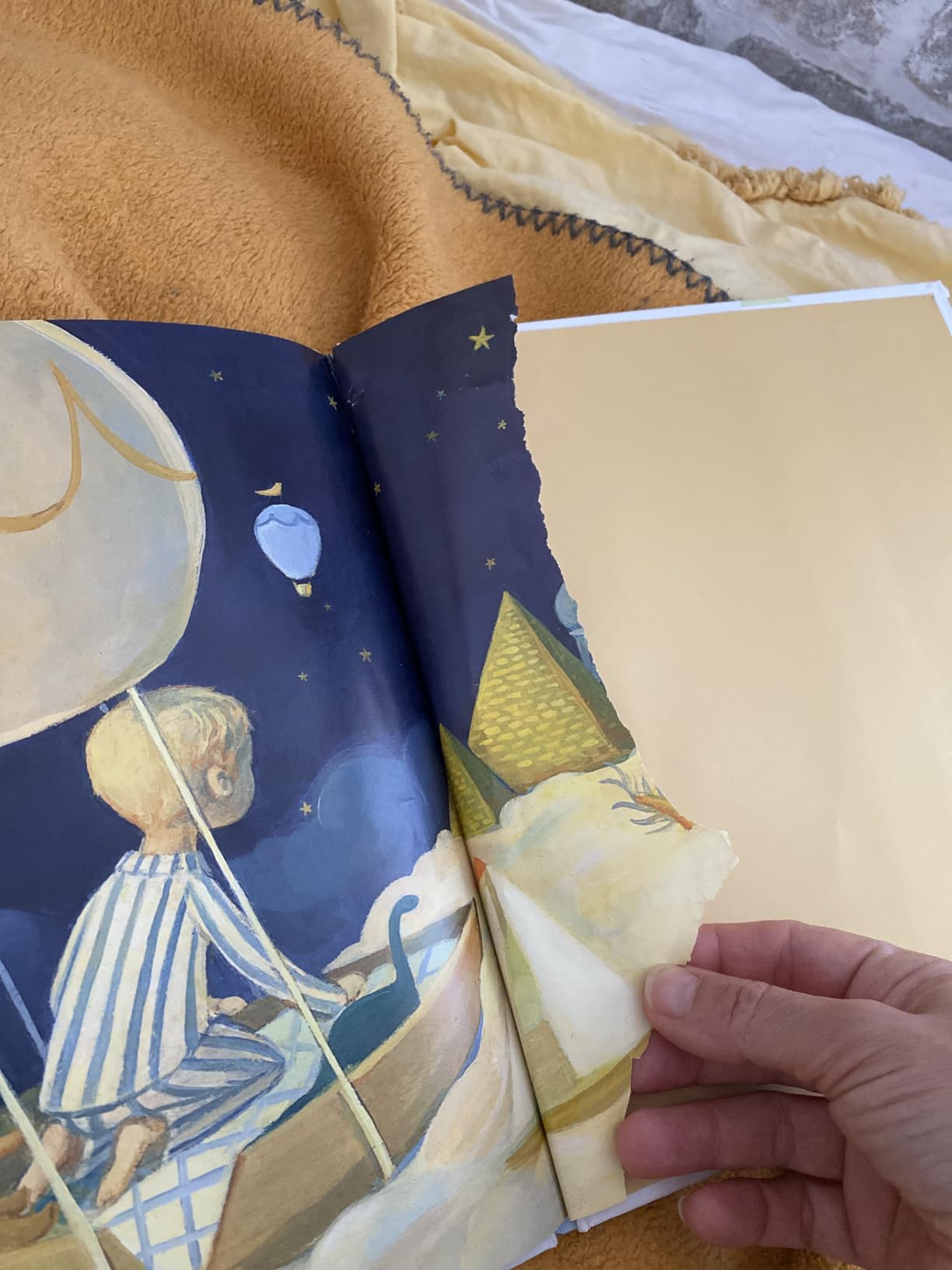 The Wonderful Things You Will Be - Award-Winning Children's Book customer photo 1