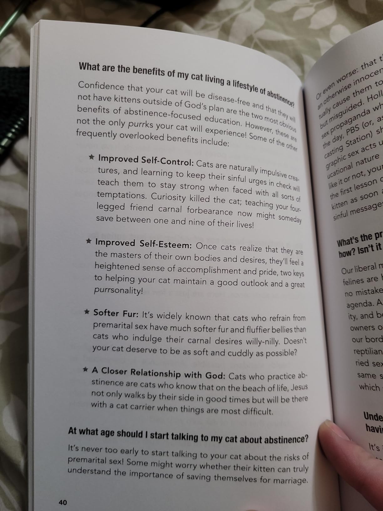 How to Talk to Your Cat About Gun Safety: And Abstinence, Drugs, Satanism, and Other Dangers That Threaten Their Nine Lives customer photo 1