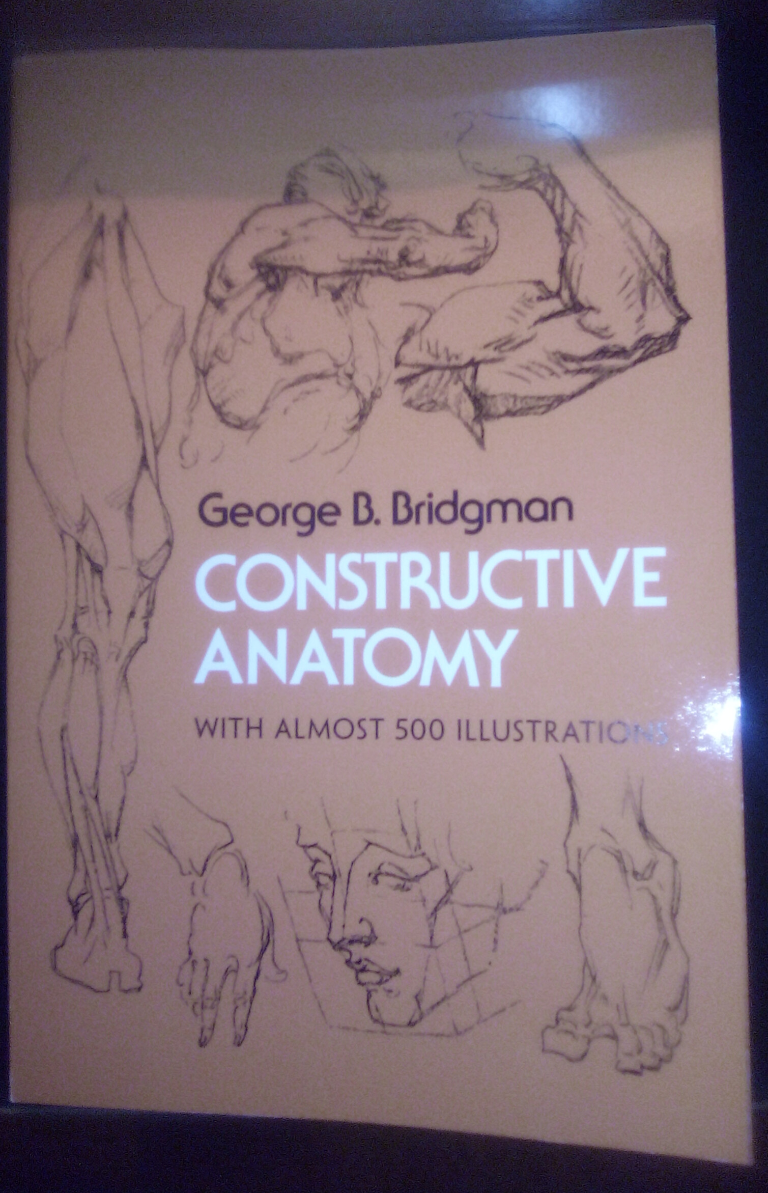 Constructive Anatomy: Includes Nearly 500 Illustrations (Dover Anatomy for Artists) customer photo 1