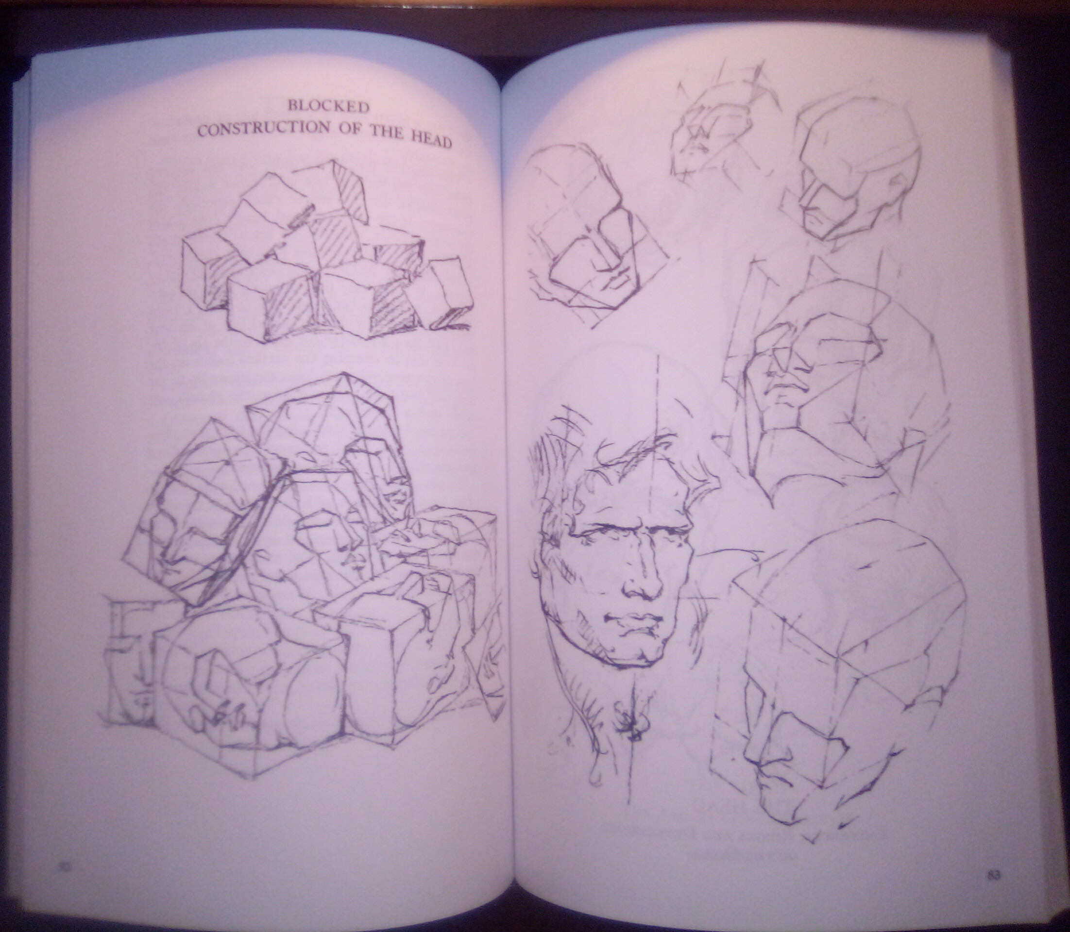 Constructive Anatomy: Includes Nearly 500 Illustrations (Dover Anatomy for Artists) customer photo 2