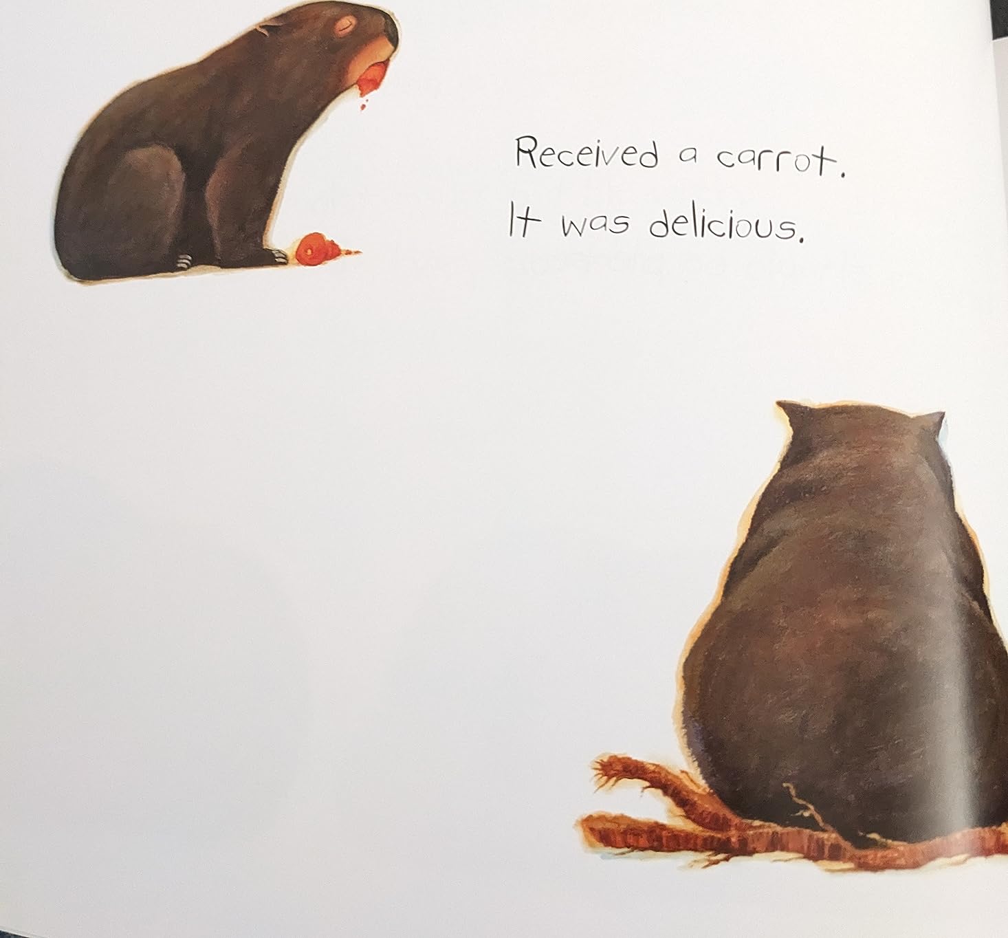 Diary of a Wombat customer photo 1