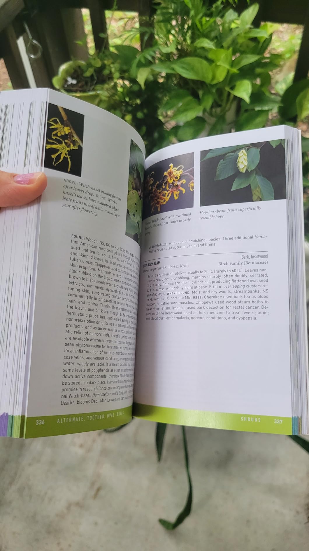 Peterson Field Guide To Medicinal Plants & Herbs Of Eastern & Central N. America: Third Edition customer photo 2