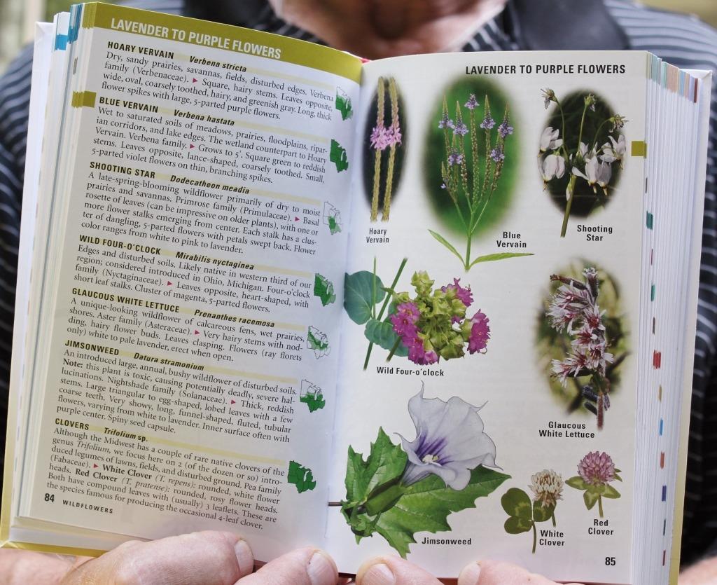 Kaufman Field Guide To Nature Of The Midwest: The Only Guide to Birds, Mammals, Trees, Wildflowers, Insects, and More in One Volume customer photo 1