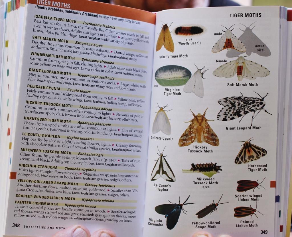 Kaufman Field Guide To Nature Of The Midwest: The Only Guide to Birds, Mammals, Trees, Wildflowers, Insects, and More in One Volume customer photo 2