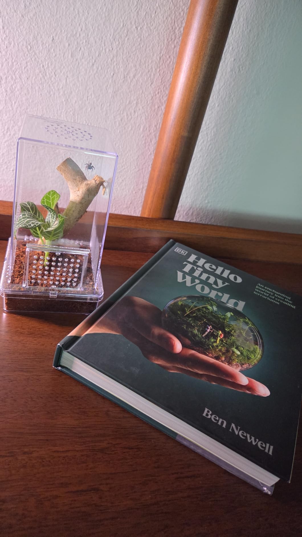 Hello Tiny World: An Enchanting Journey into the World of Creating Terrariums customer photo 1