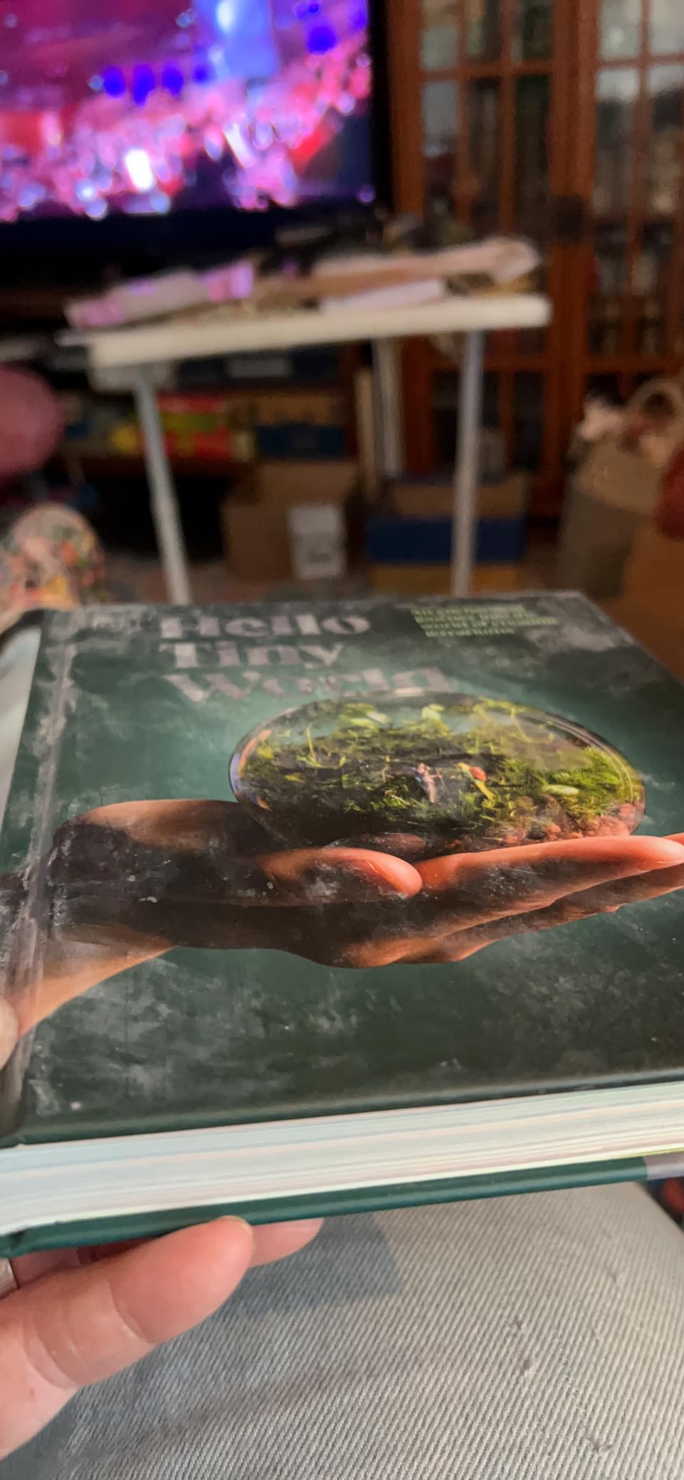 Hello Tiny World: An Enchanting Journey into the World of Creating Terrariums customer photo 2