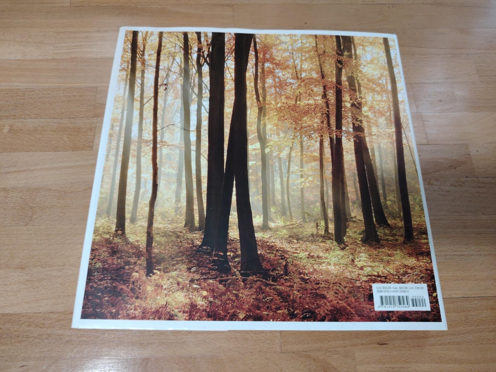 The Life & Love of the Forest: Photographs customer photo 1