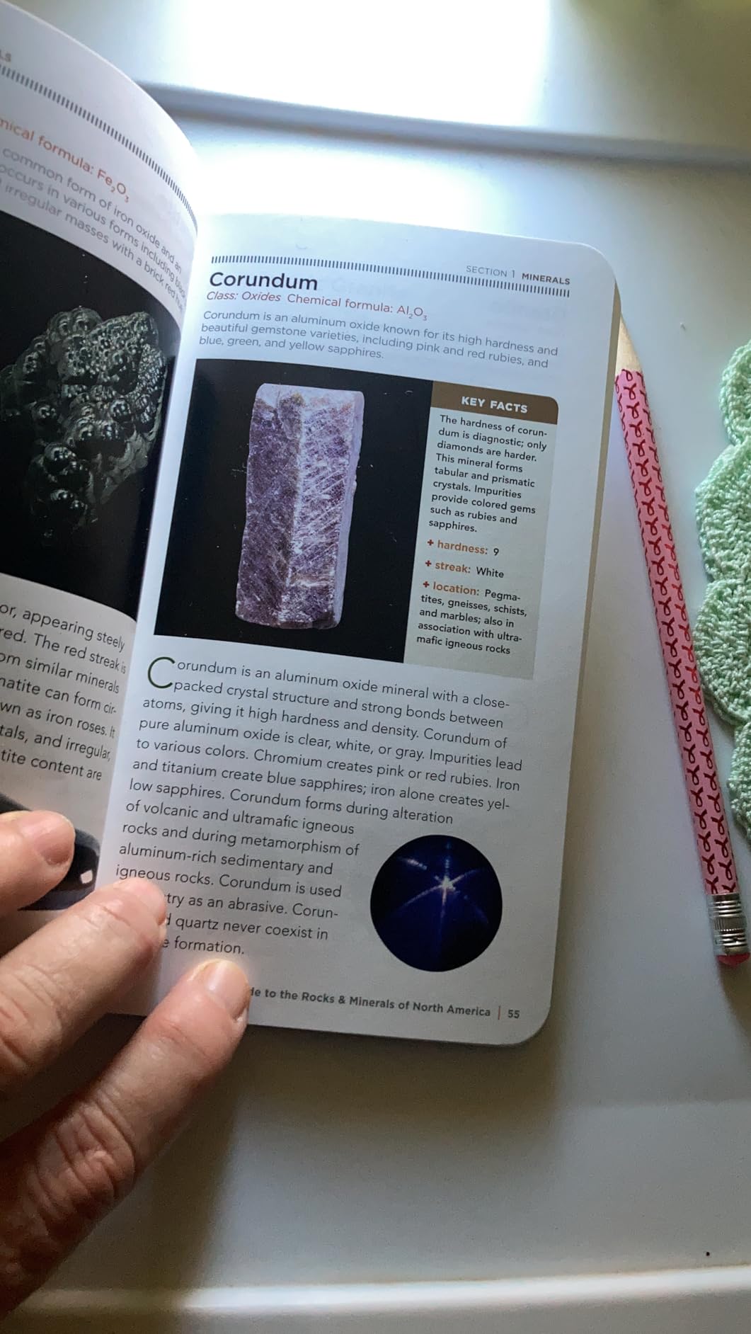 National Geographic Pocket Guide to Rocks and Minerals of North America customer photo 1