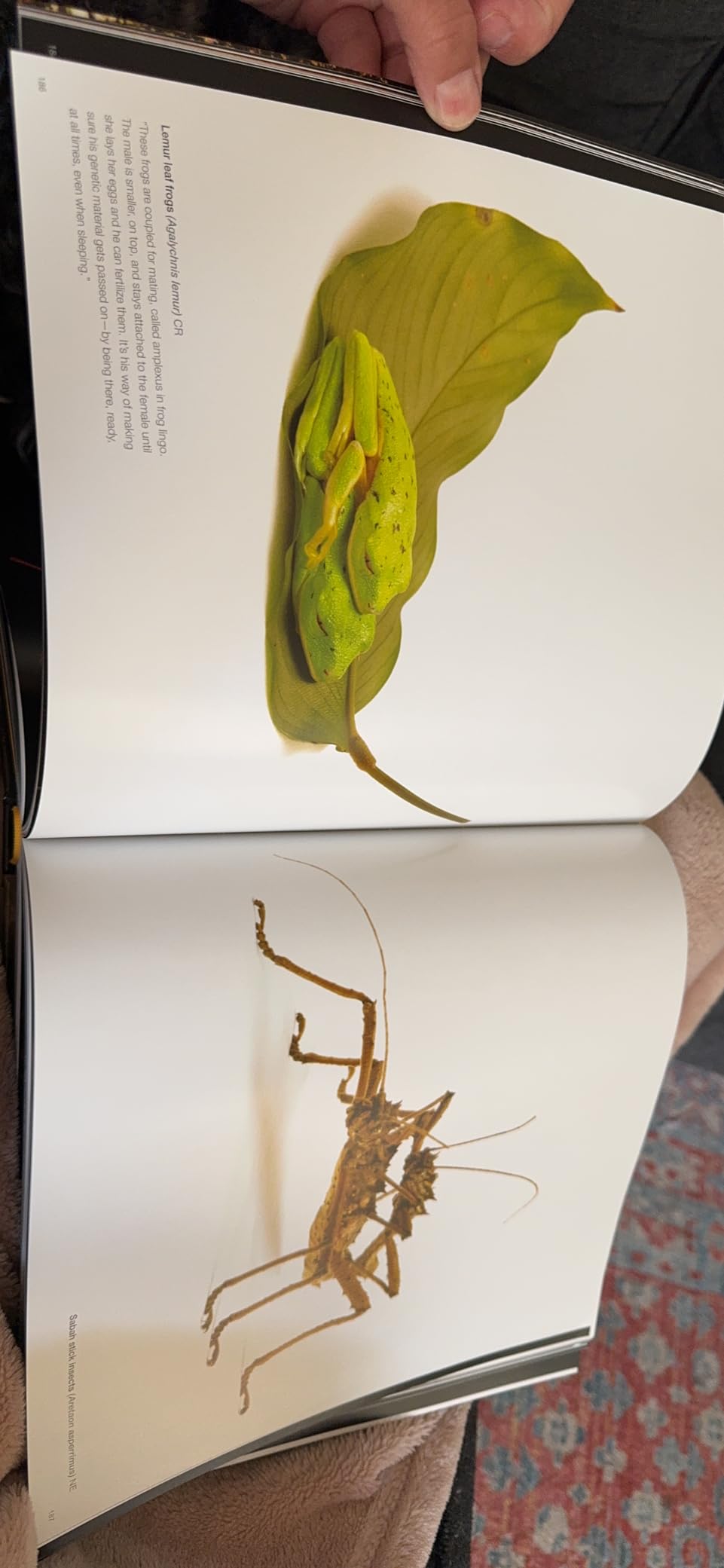 National Geographic The Photo Ark: One Man's Quest to Document the World's Animals customer photo 2