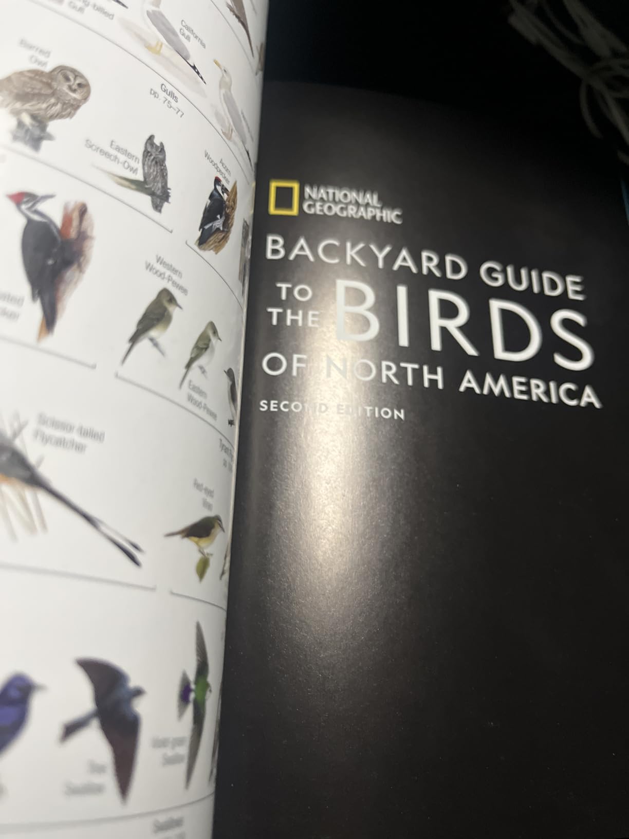 National Geographic Backyard Guide to the Birds of North America, 2nd Edition customer photo 1