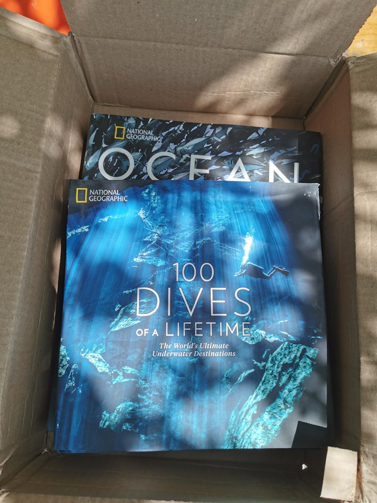 National Geographic Ocean: A Global Odyssey customer photo 1