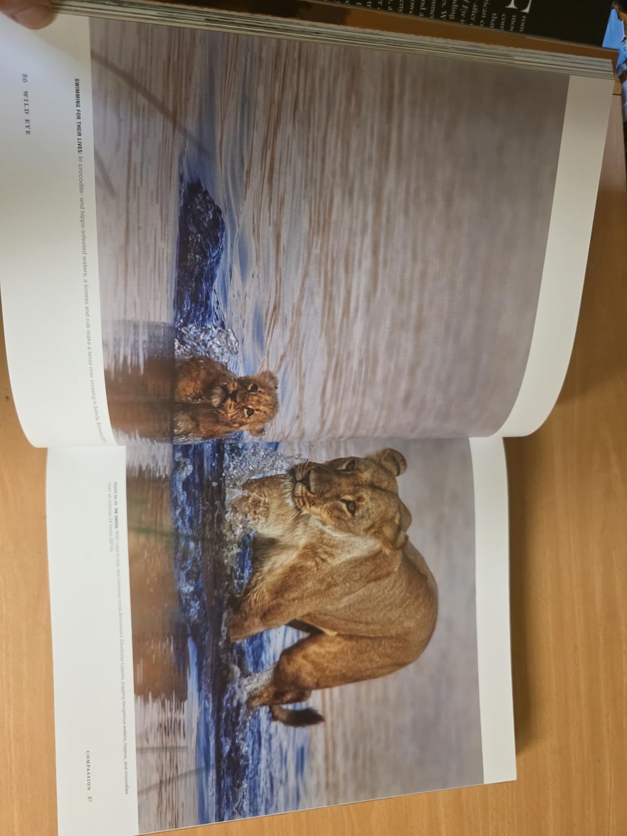 Wild Eye: A Life in Photographs customer photo 1