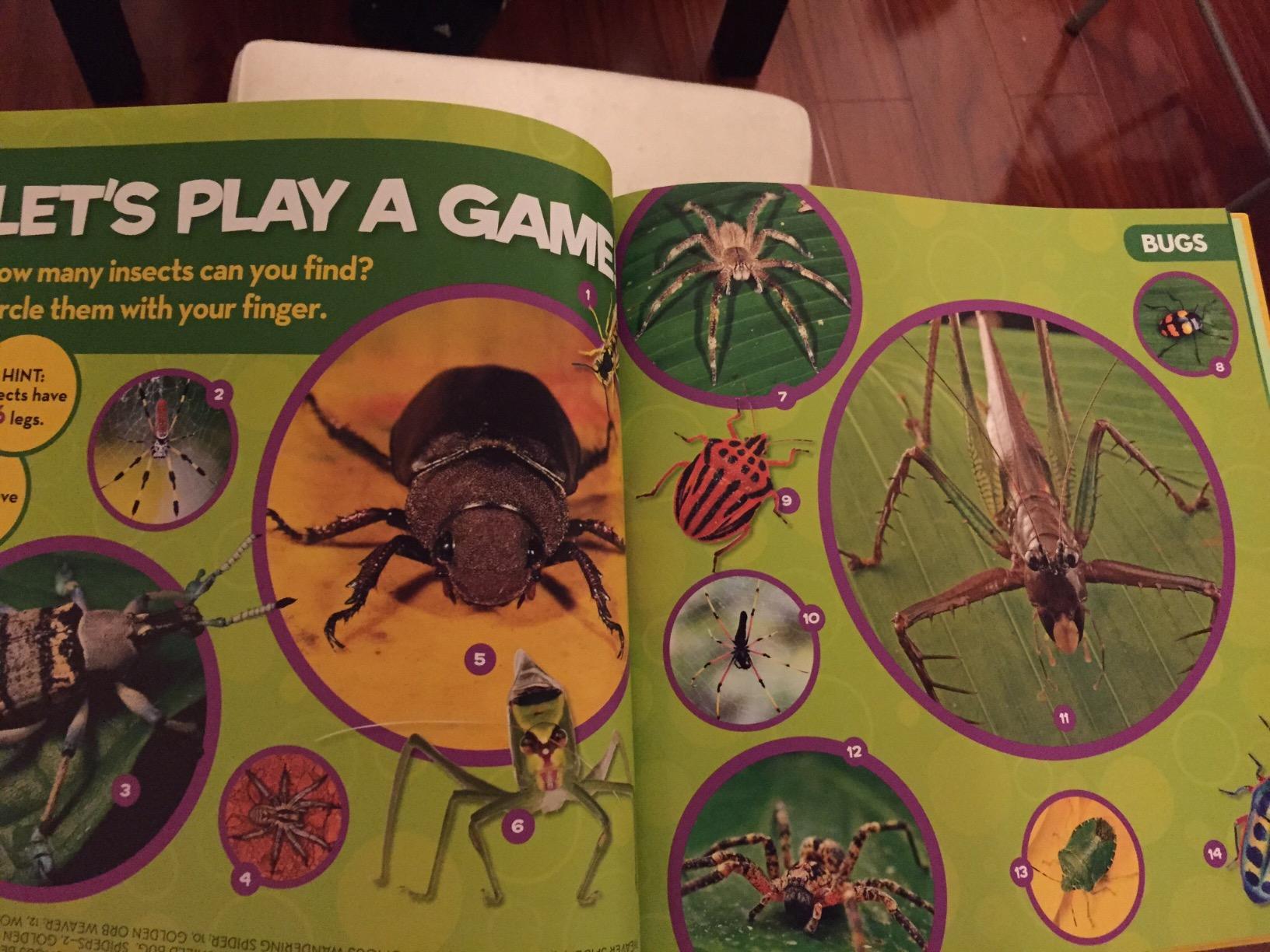 National Geographic Little Kids First Big Book of Bugs customer photo 1