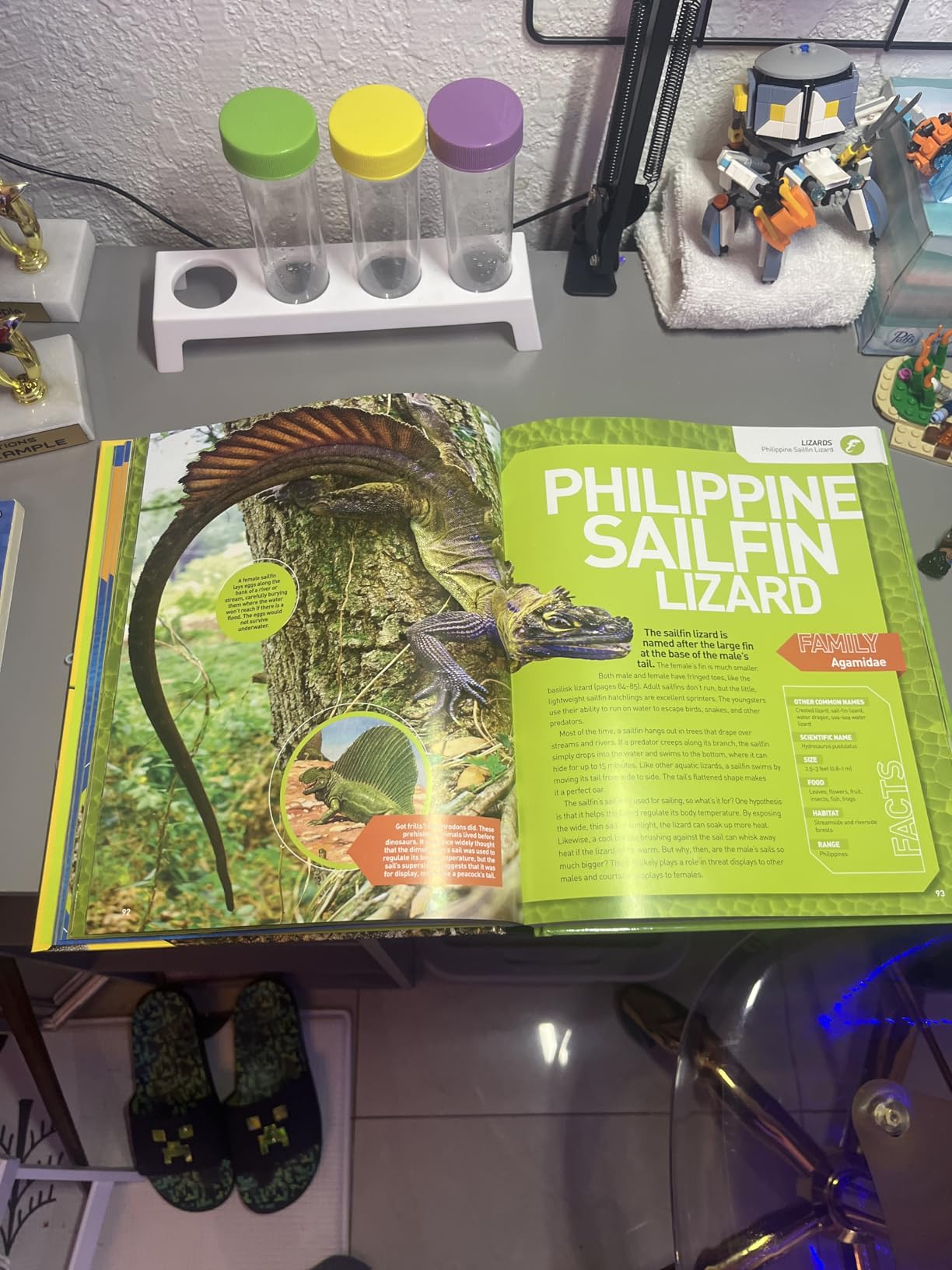 National Geographic Kids Ultimate Reptileopedia: The Most Complete Reptile Reference Ever (NGK Ultimate Pedias) customer photo 2