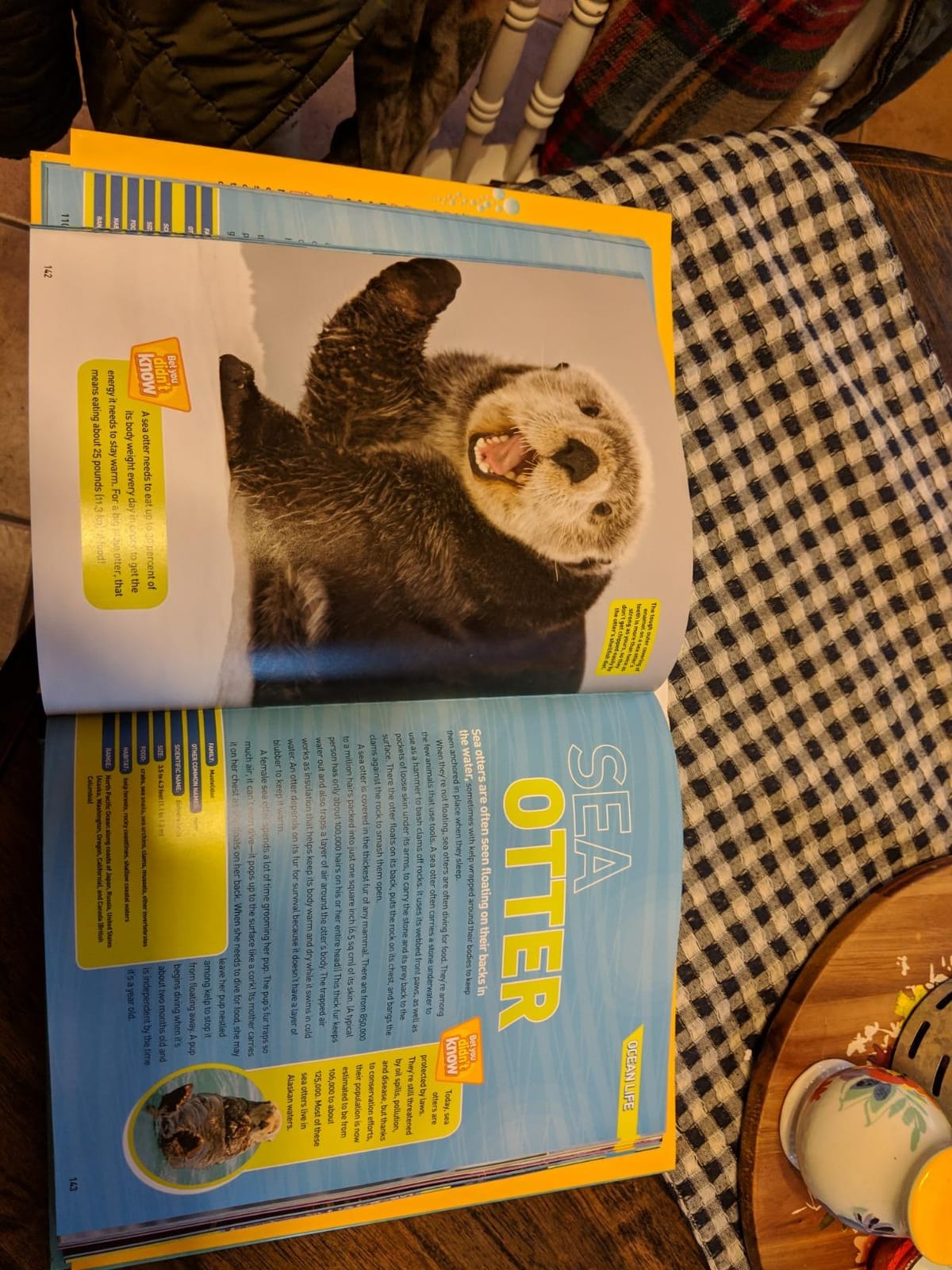 National Geographic Kids Ultimate Oceanpedia: The Most Complete Ocean Reference Ever (NGK Ultimate Pedias) customer photo 2